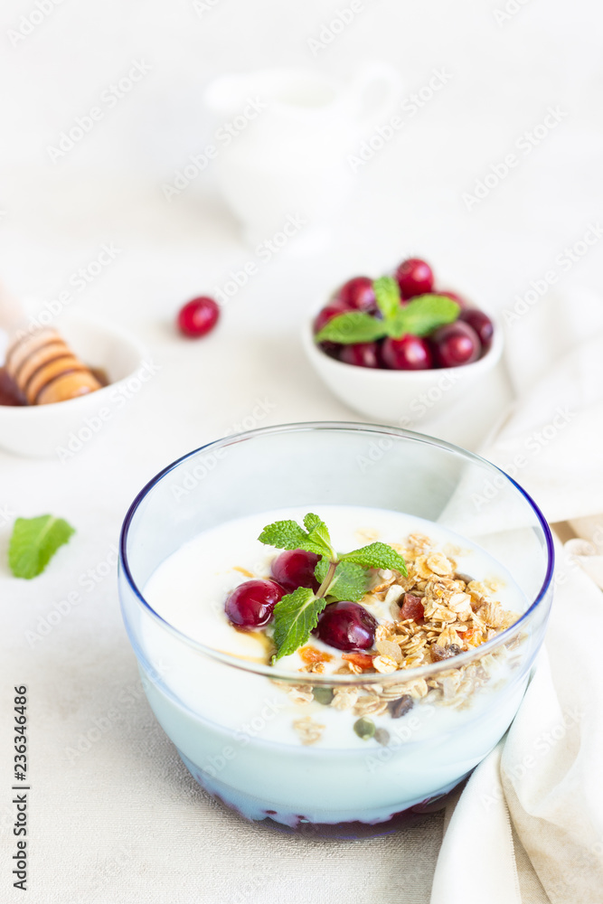 Healthy breakfast with bowl of homemade granola with yogurt, fresh cranberries, honey and mint. Vegetarian food concept. Top view. Copy space. Healthy breakfast with bowl of homemade granola with yogurt, fresh cranberries, honey and mint. Vegetarian food concept. Top view. Copy space.