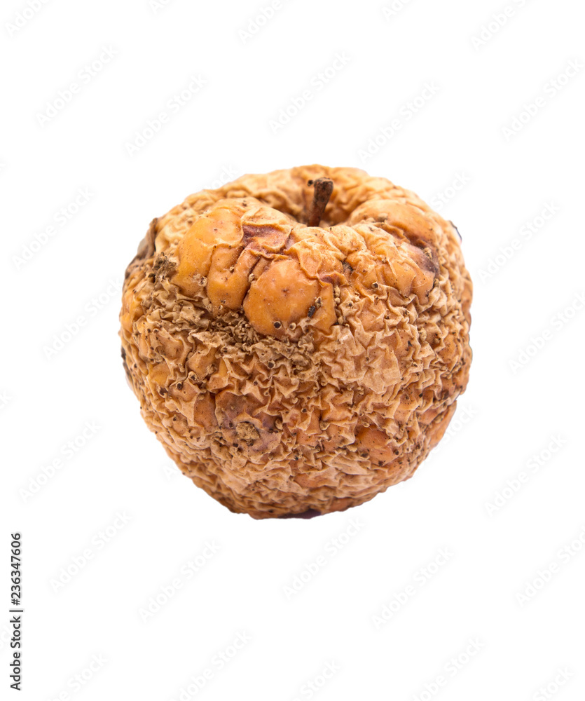 Rotten apple isolated on white background. Rotten apple isolated on white background.