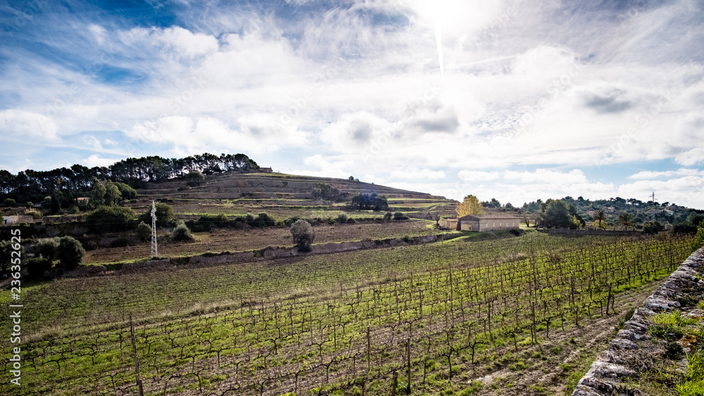 Fototapeta premium Tramuntana 14