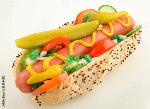 CHICAGO STYLE  HOT DOG ON WHITE 