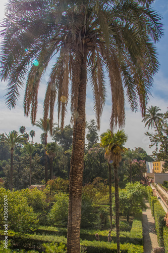 Sevilla  Spain - October  2018  Alcazar Palace in Sevilla. The Alcazar - example of the moorish architecture in Spain.