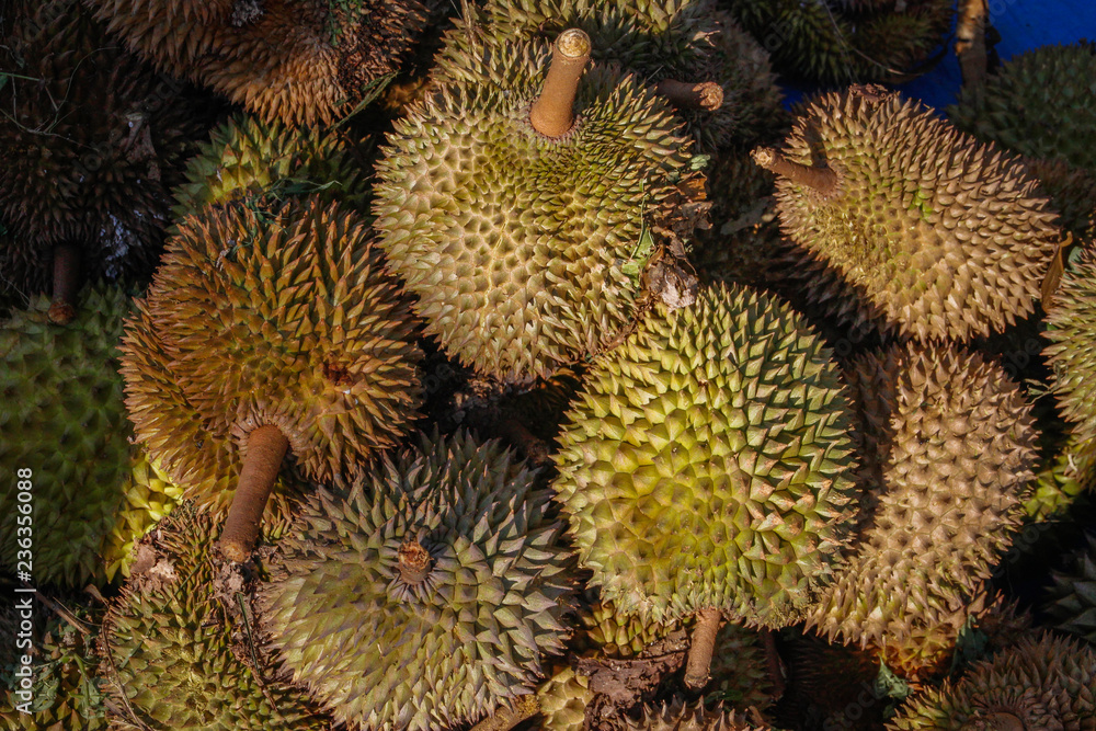 The king of fruit is fresh and ripe durian sold in every Asian market The king of fruit is fresh and ripe durian sold in every Asian market