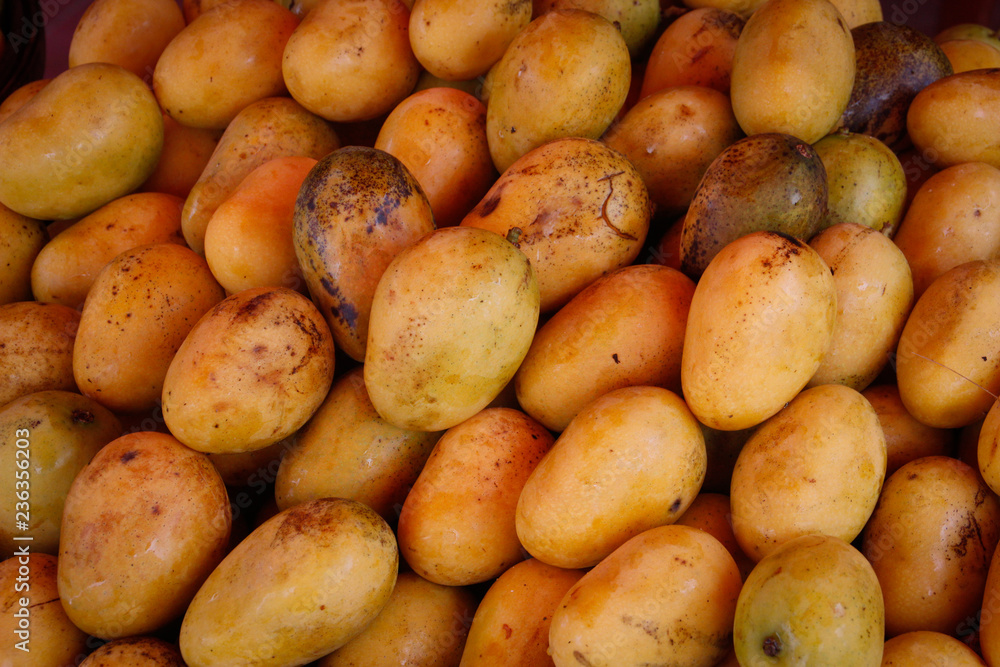 Ripe and juicy yellow mangoes are on the market counter Ripe and juicy yellow mangoes are on the market counter