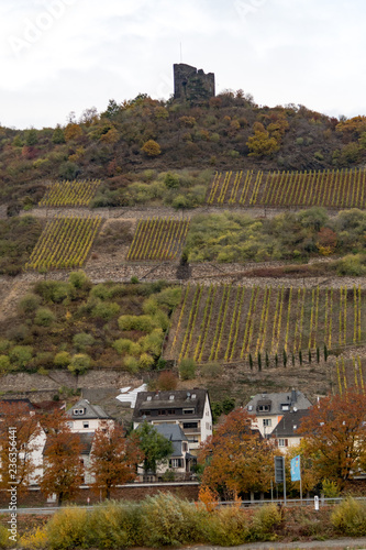 vineyard and castles in Germany