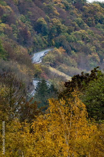 road through German Forest