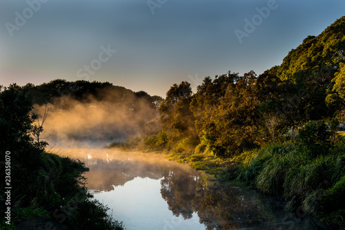 Canvas Print Mist and sunrise at Sydney's centennial Park