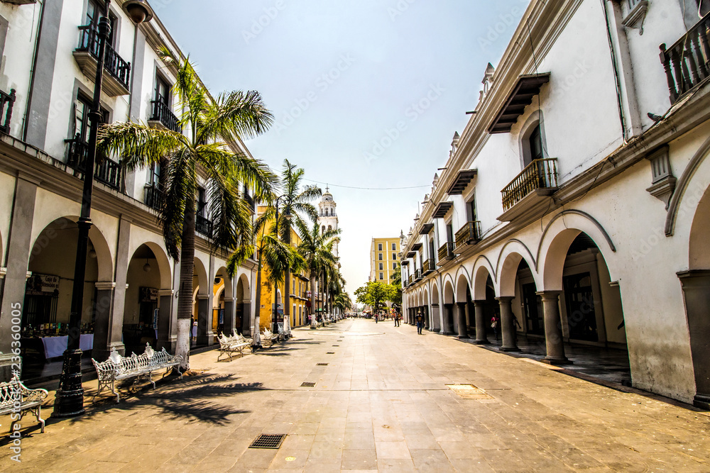 Fototapeta premium vera