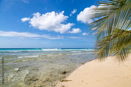 Fototapeta Naklejka Na Ścianę i Meble -  A beach at low tide, on the island of Barbados