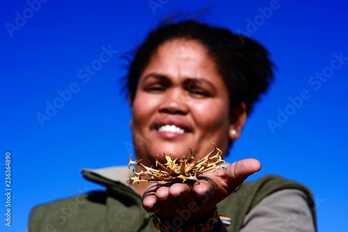 Ranger of the !Xaus Lodge shows a devil's claw (Harpagophytum procumbens), Kalahari or Kgalagadi Transfrontier Park, North Cape, South Africa, Africa photo