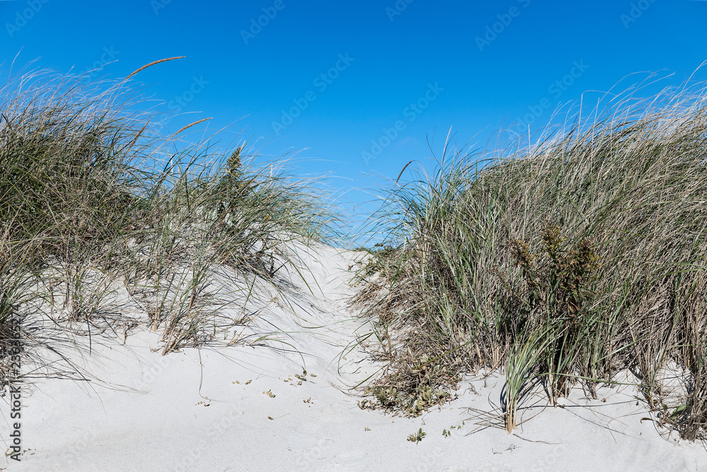Dune path to the beach, West Beach, Westport, Massachusetts, USA. Dune path to the beach, West Beach, Westport, Massachusetts, USA.