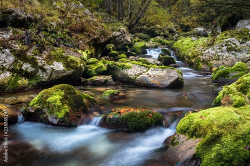 Creek with mossy rocks, Lepenjica watercourse, Soca valley, Bovec, Triglav National Park, Slovenia, Europe photo