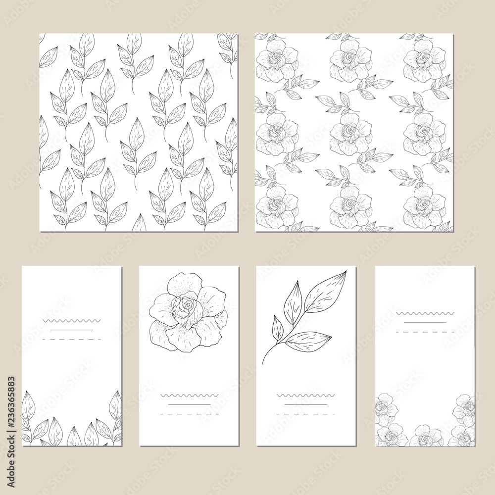 Collection of vector template label, visit cards, square greeting cards and banners with home plants, wild flowers and herbs.Business set of design templates Layout, mockup design for cosmetics.