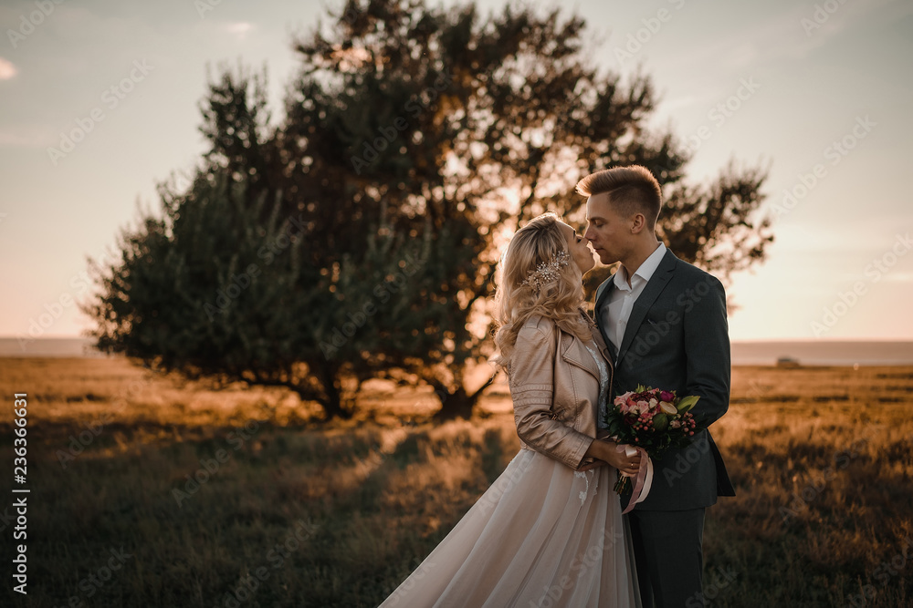 Stylish wedding photo shoot in nature at sunset. Stylish wedding photo shoot in nature at sunset.