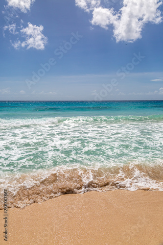 A Tropical Beach on the Island of Barbados