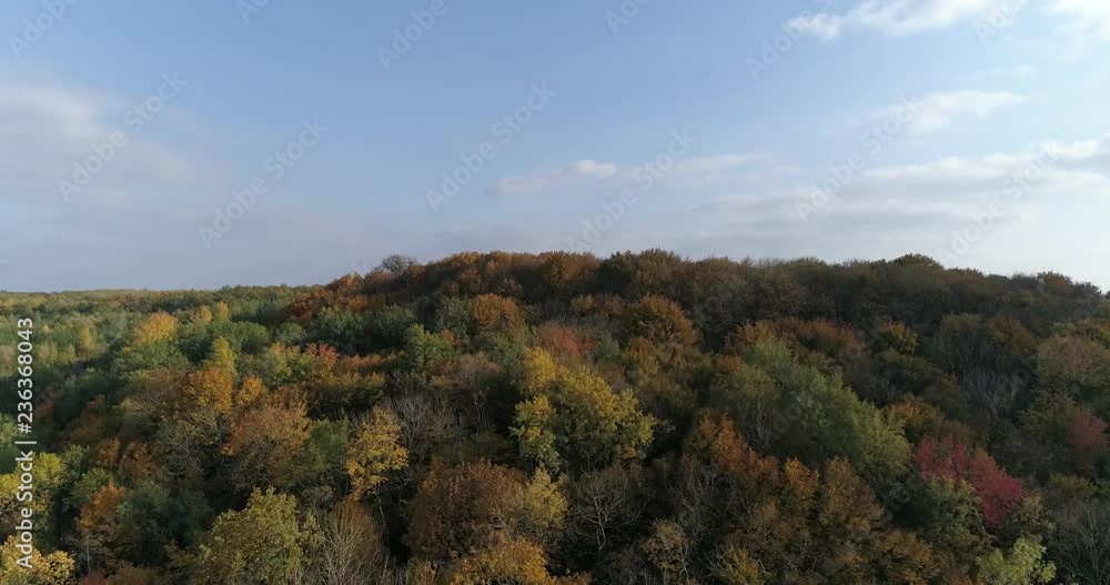 Autumn forest, flight Autumn forest, flight