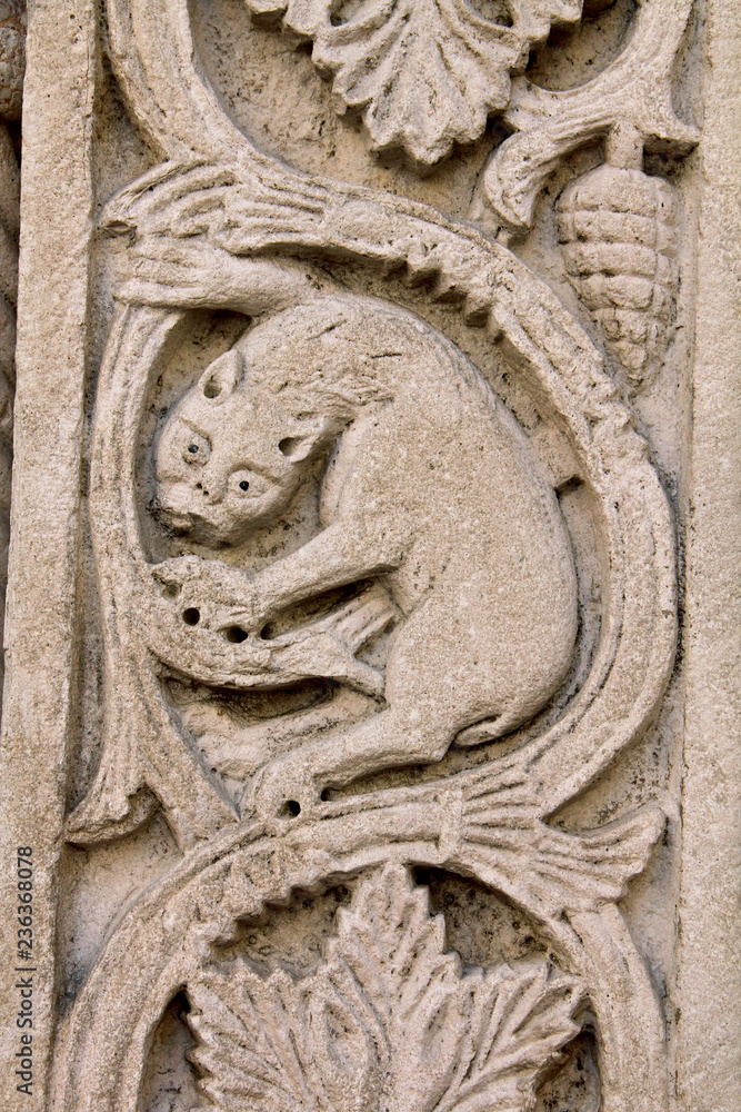 felino in agguato; bassorilievo nello stipite del portale della chiesa romanica di Santa Maria della Piazza, Ancona