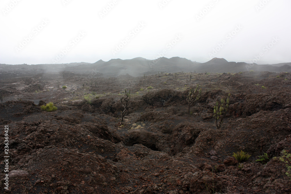 Crater of the Sierra Negra volcano, volcanic landscape, Galapagos islands