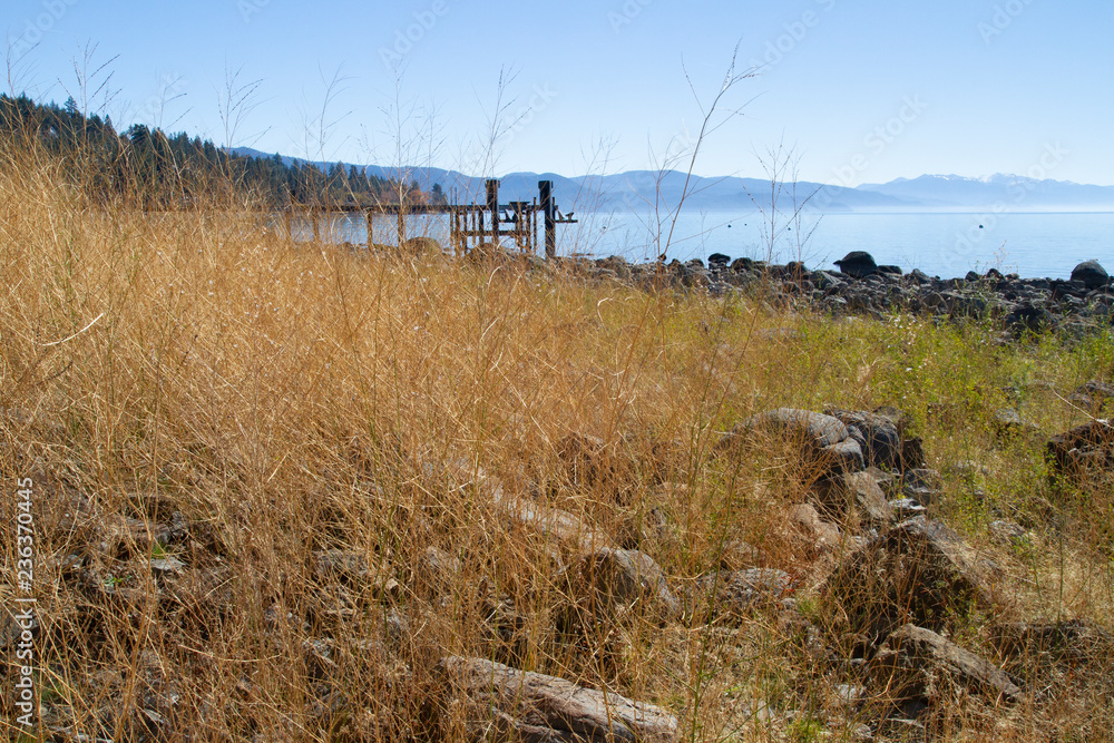grass and rocks by lake grass and rocks by lake