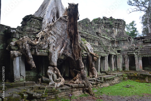 Temples Angkor Cambodge - Cambodia