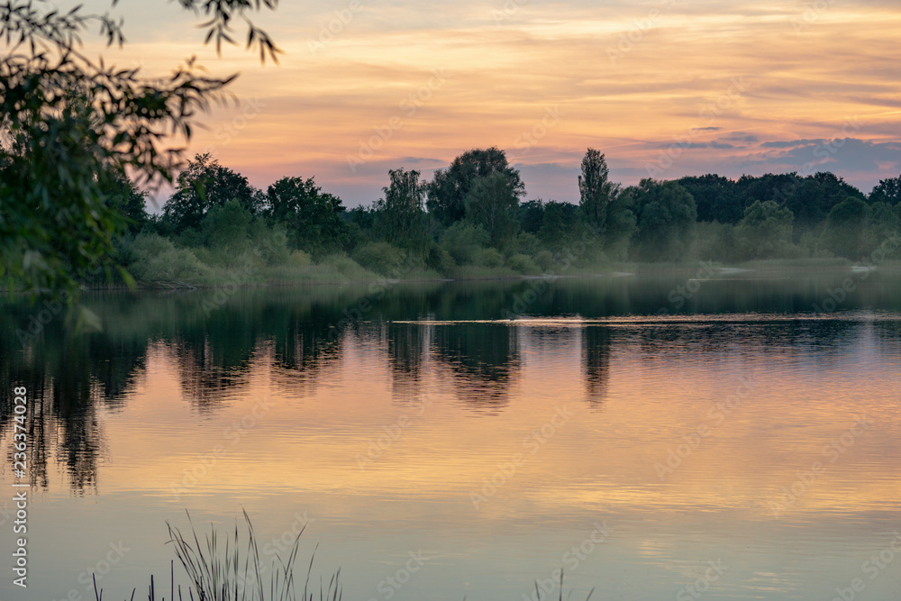 The lake is in a fog with reeds and ducks. Beautiful scenery in the early morning. The lake is in a fog with reeds and ducks. Beautiful scenery in the early morning.