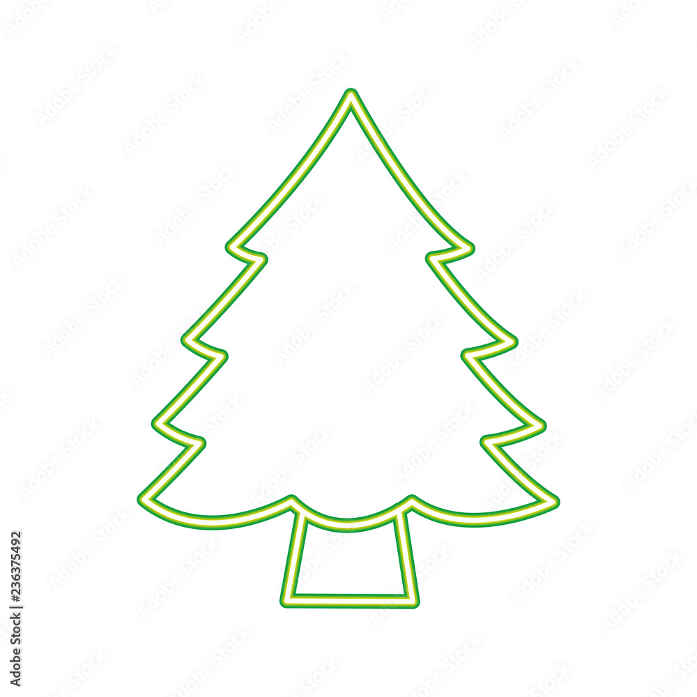 Fototapeta premium pine tree on white background