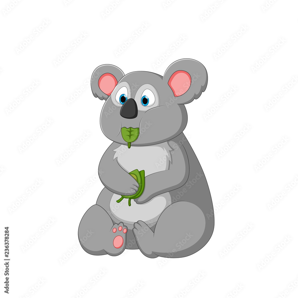 vector illustration of a cartoon koala