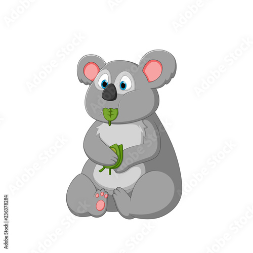 vector illustration of a cartoon koala