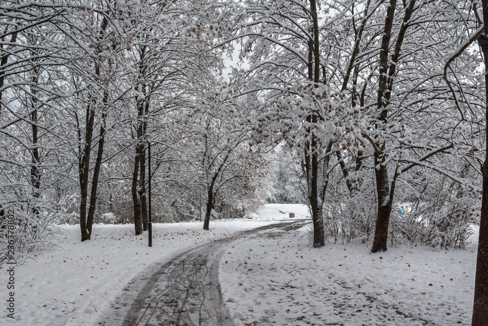 Amazing Winter Landscape with snow covered trees in South Park in city of Sofia, Bulgaria Amazing Winter Landscape with snow covered trees in South Park in city of Sofia, Bulgaria