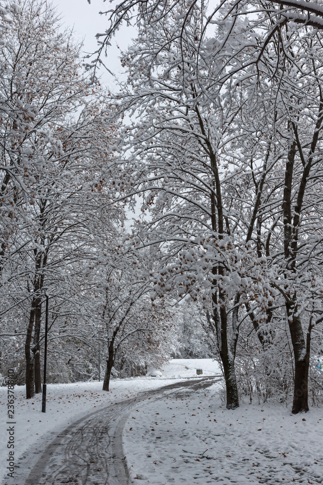 Amazing Winter Landscape with snow covered trees in South Park in city of Sofia, Bulgaria Amazing Winter Landscape with snow covered trees in South Park in city of Sofia, Bulgaria