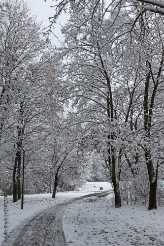 Amazing Winter Landscape with snow covered trees in South Park in city of Sofia, Bulgaria