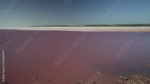 Picturesque shore Pink Salt Lake, Gregory in Western Australia. Blue sky with clouds reflecting in Hutt Lagoon between Geraldton and Kalbarri, a vivid pink color for the presence of algae in summer. photo