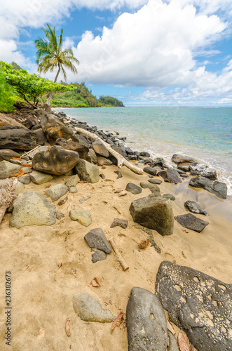 Rocks & palm tree along tropical beach in Kauai, Hawaii, USA