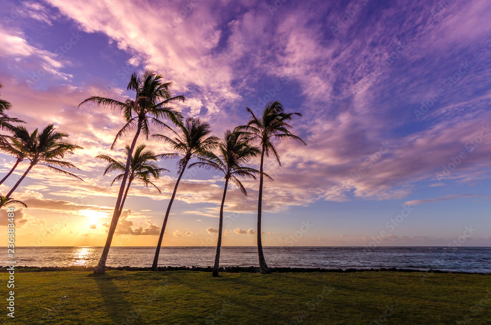 Colorful sunset on the beach with palm trees in Kauai, Hawaii, USA