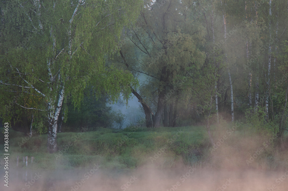 Fotografie river in fog at dawn against the forest