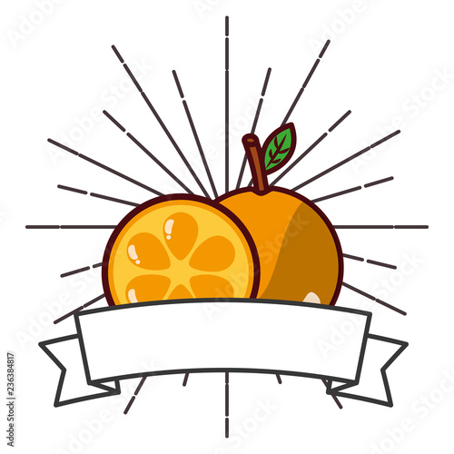 fresh organic fruit orange banner