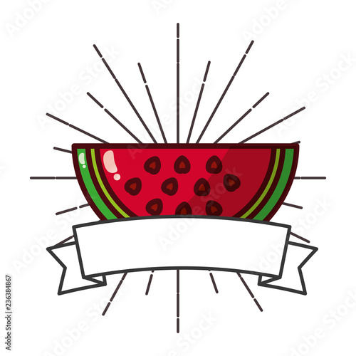 fresh organic fruit watermelon banner