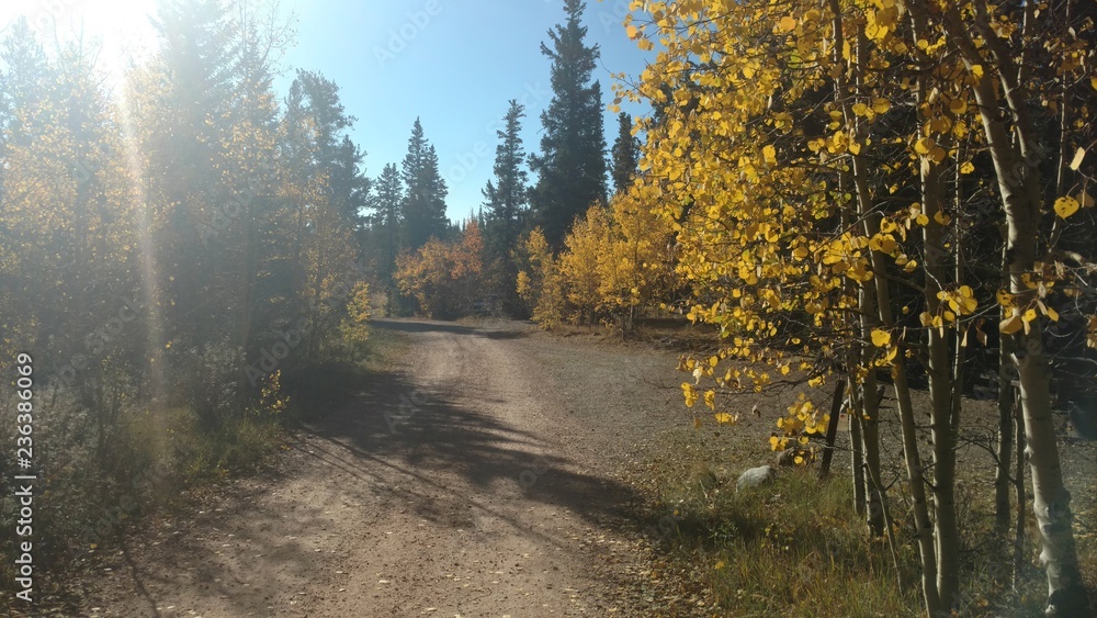 Fototapeta premium Fall Road to Mount Sherman, Colorado