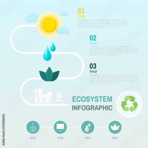 Ecosystem infographic environmental conservation vector