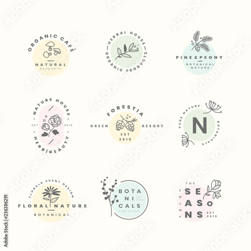 Set of botanical logo design vectors