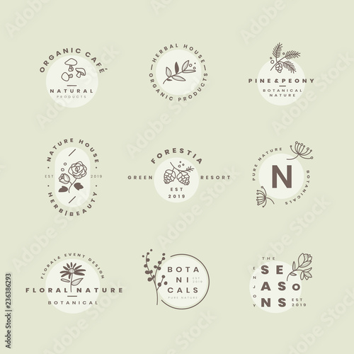 Set of botanical logo design vectors