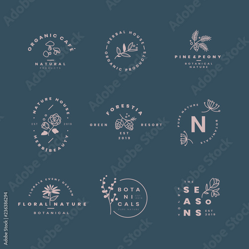 Set of botanical logo design vectors