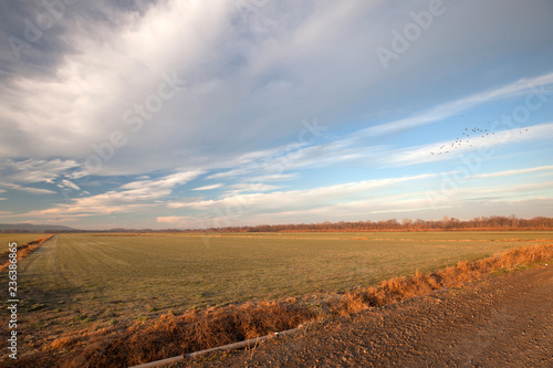 Agricultural land