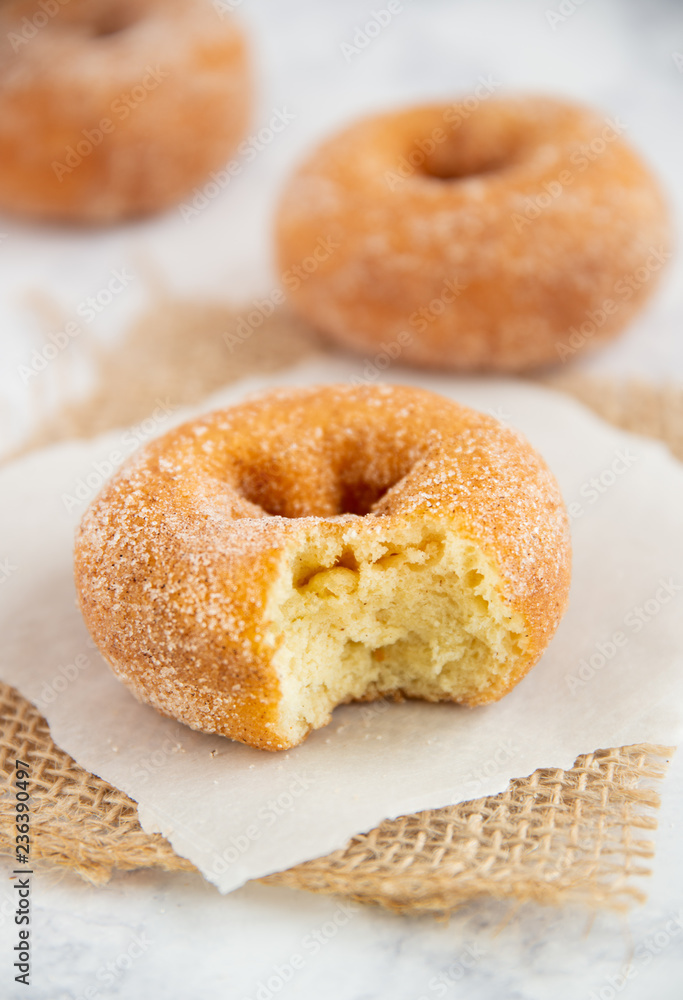 Bite of breakfast donuts Bite of breakfast donuts
