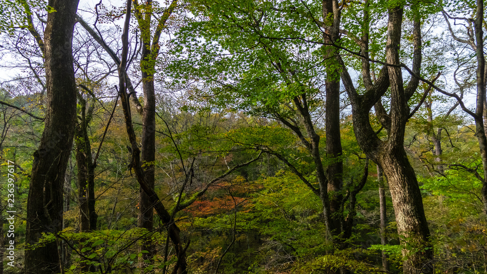 竜返しの滝 竜返しの滝