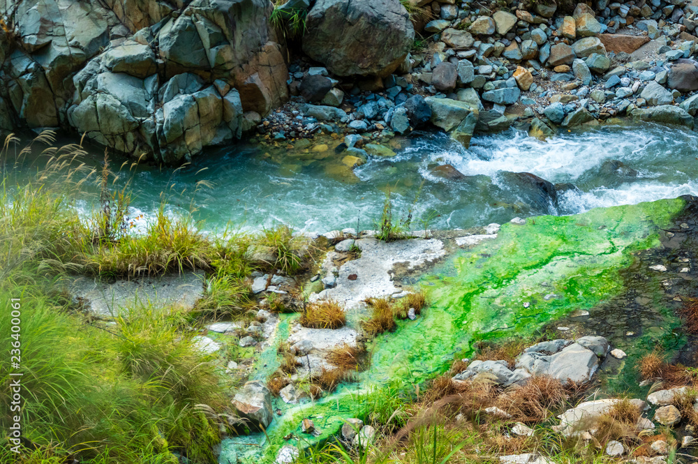 Fototapeta premium 地獄谷野猿公園の秋