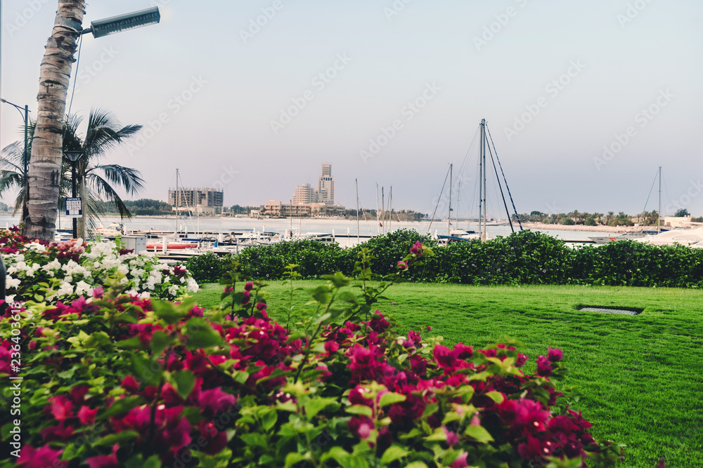 Obraz premium September 12th, 2017 - Al Hamra Village in Ras al Khaimah, United Arab Emirates.View of Persian gulf marina, blossoming flowers and parked yachts in luxury life style community Al Hamra Village.