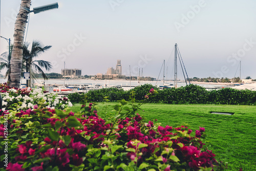 September 12th, 2017 - Al Hamra Village in Ras al Khaimah, United Arab Emirates.View of Persian gulf marina, blossoming flowers and parked yachts in luxury life style community Al Hamra Village.