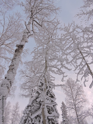 winter