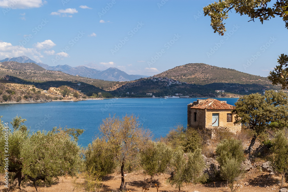  Landscape view with an olive grove and an old abandoned  house overlooking the sea, typical of the Mani region, part of Peloponnese Peninsula, Greece. Photo take