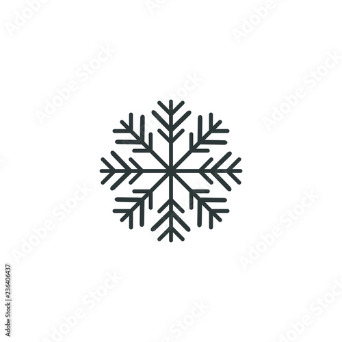 Snowflake icon or logo. Christmas and winter theme symbol. Vector and illustration. xmas icon